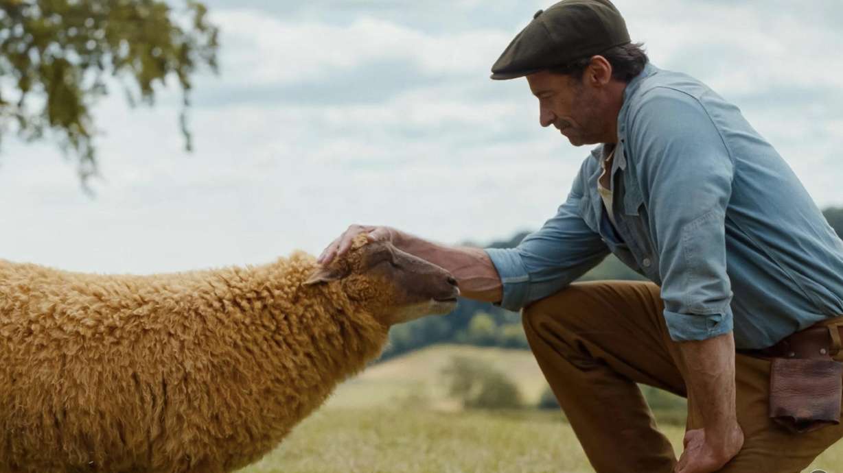 The Sheep Detectives