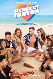 Perfect Match Netflix poster with cast members sitting on a beach