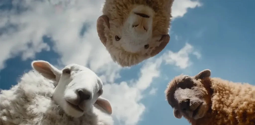 The Sheep Detectives still with sheep looking down at the camera